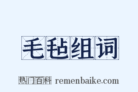 毛毡组词是什么意思的图片